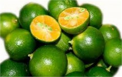Nước tắc ép tiệt trùng đóng theo yêu cầu thumb