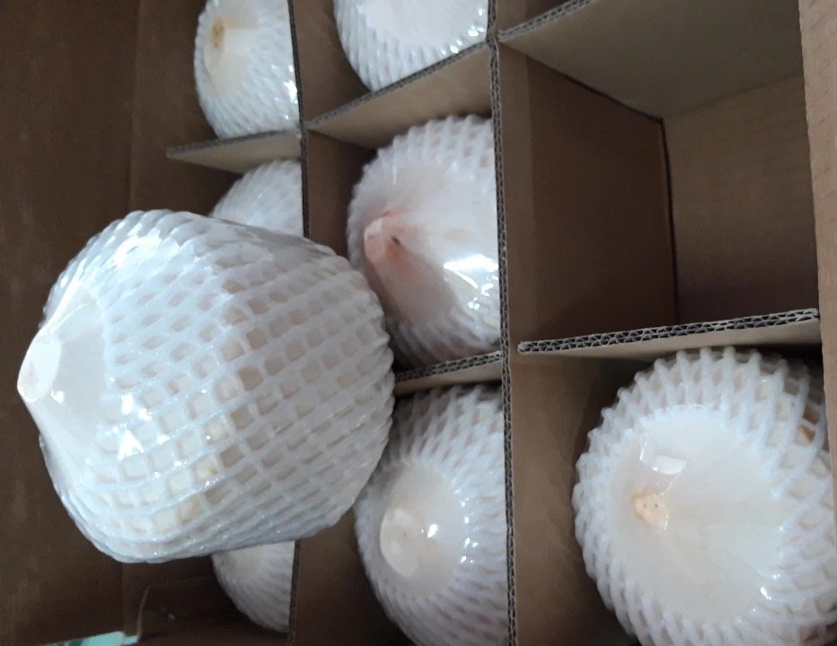 Dừa tươi Bến Tre