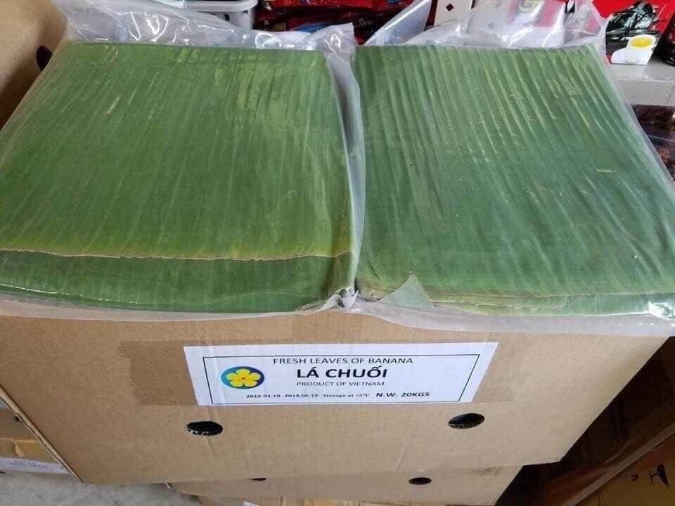 Lá chuối