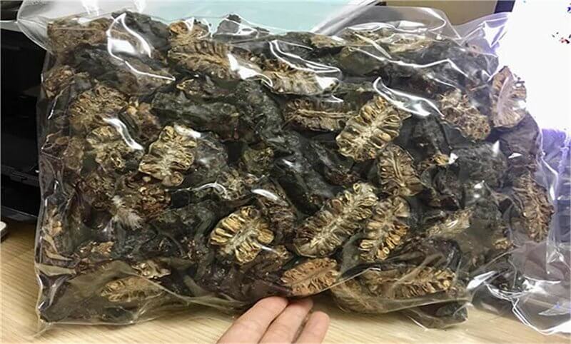Trái Nhàu sấy khô