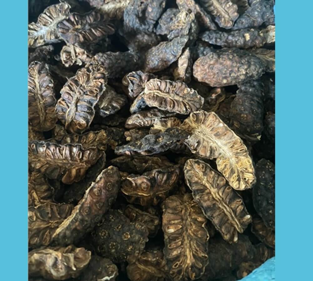 Trái Nhàu sấy khô